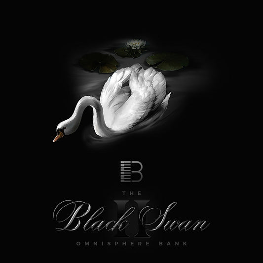 Black Swan 2 1000X1000