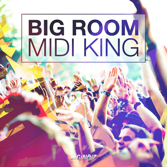 Diginoiz_-_Big_Room_Midi_King_Cd